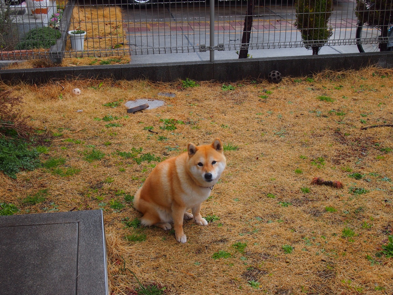 “西甲大战不断,热门队伍争夺激烈”,西甲战果