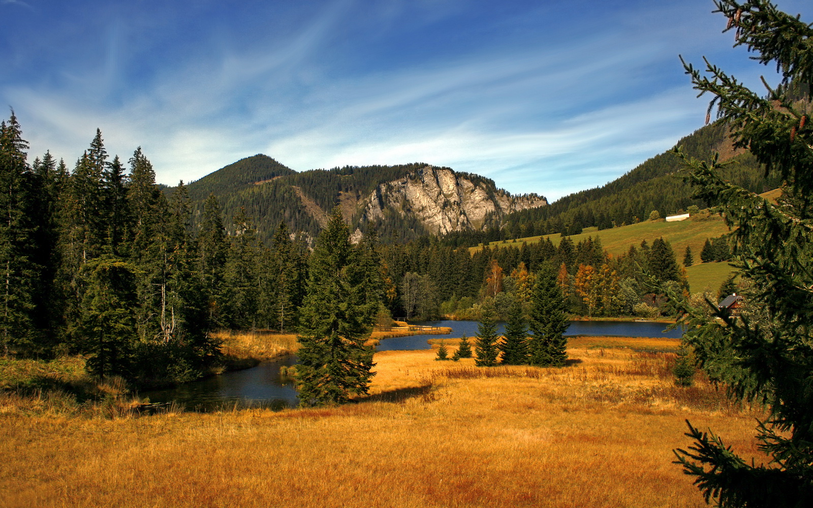 九游sports-意甲精彩表现，教练点评球队状态，意甲队伍