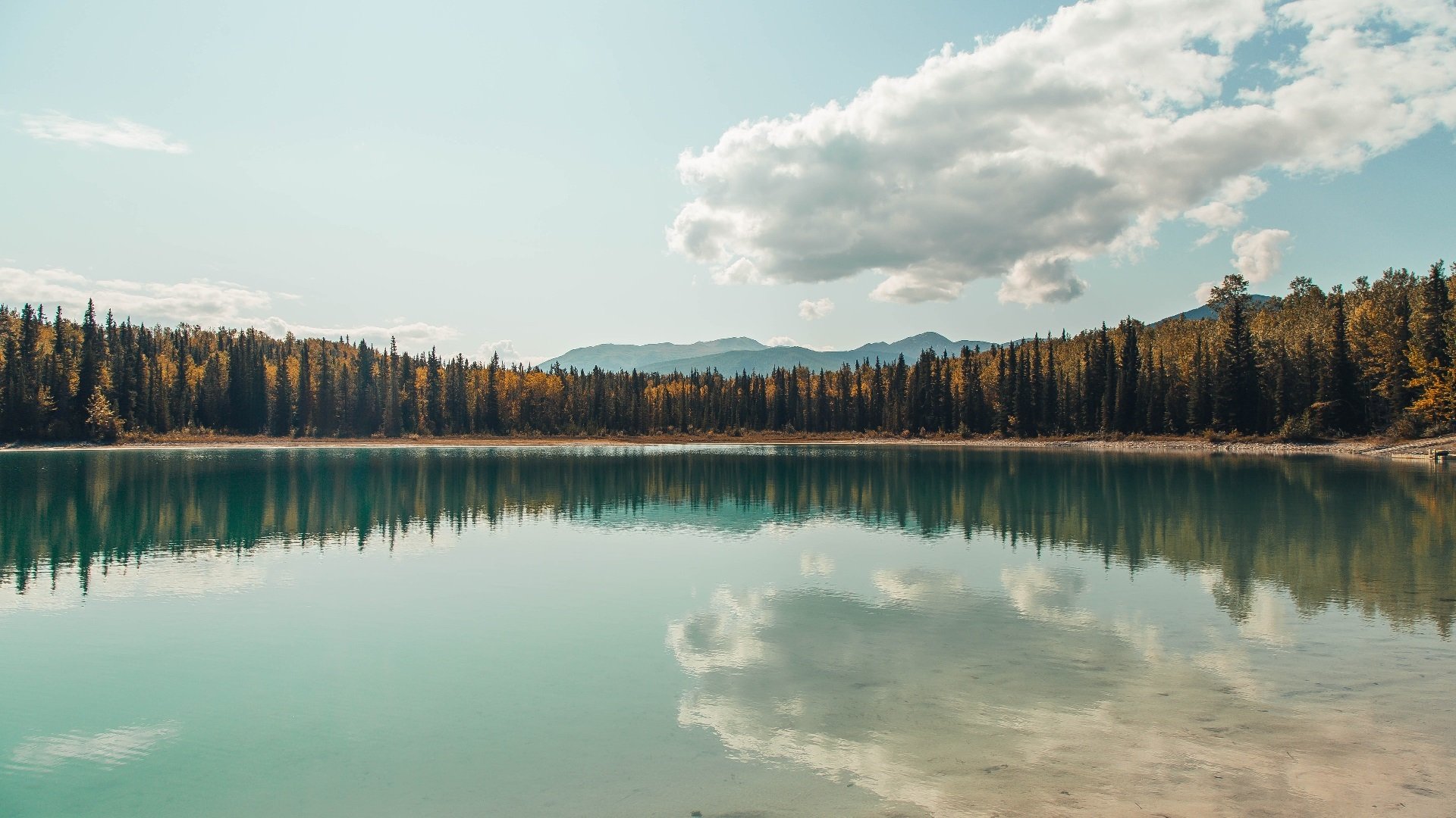 九游网页版入口-最精彩瞬间：张伟三分线外连续得分点燃现场！，张伟三集