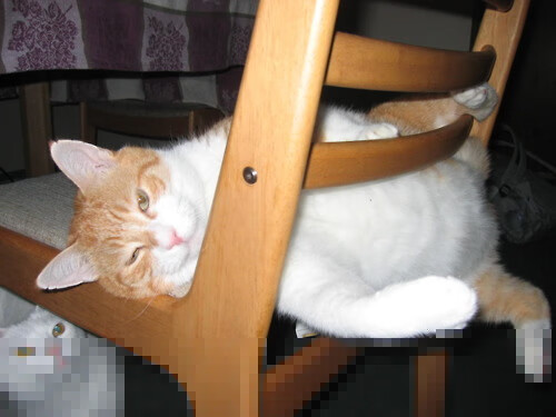 法甲主场迎战高潮迭起，精彩瞬间层出不穷，法甲集锦