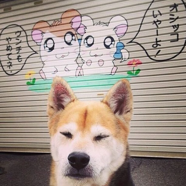 法国锋线三叉戟迷失在小组赛，法国三叉戟足球