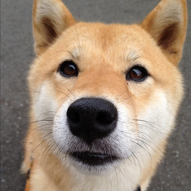 九游-特色篮球文化融入少数民族地区，促进民族团结发展，篮球的民族性