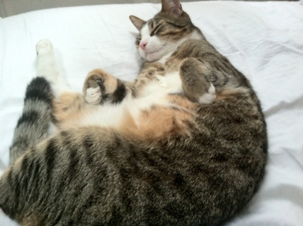 九游网页版官网入口-青少年电竞大赛落幕，15岁少年夺冠震惊全场，全国青少年电竞挑战赛