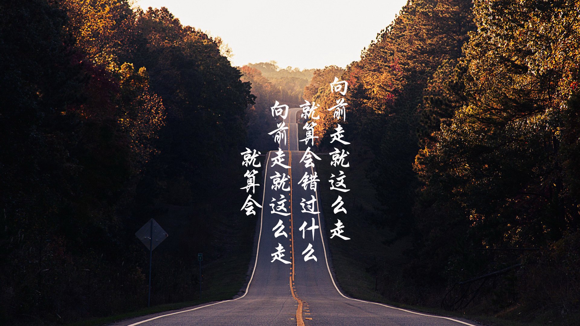 中国足球比赛激烈对决，球员表现令人惊叹，中国足球队对战