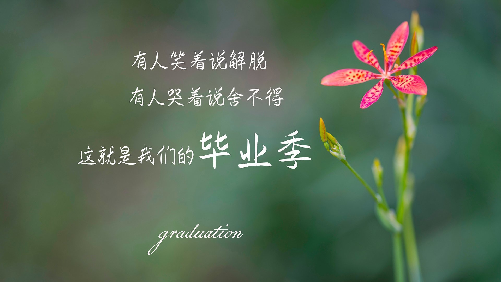 凯尔特人球队比赛节奏掌控力强，凯尔特人组合