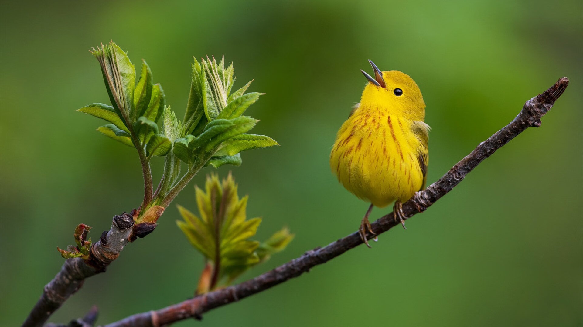 巴萨客场1-1战平塞尔塔，积分榜领先优势扩大