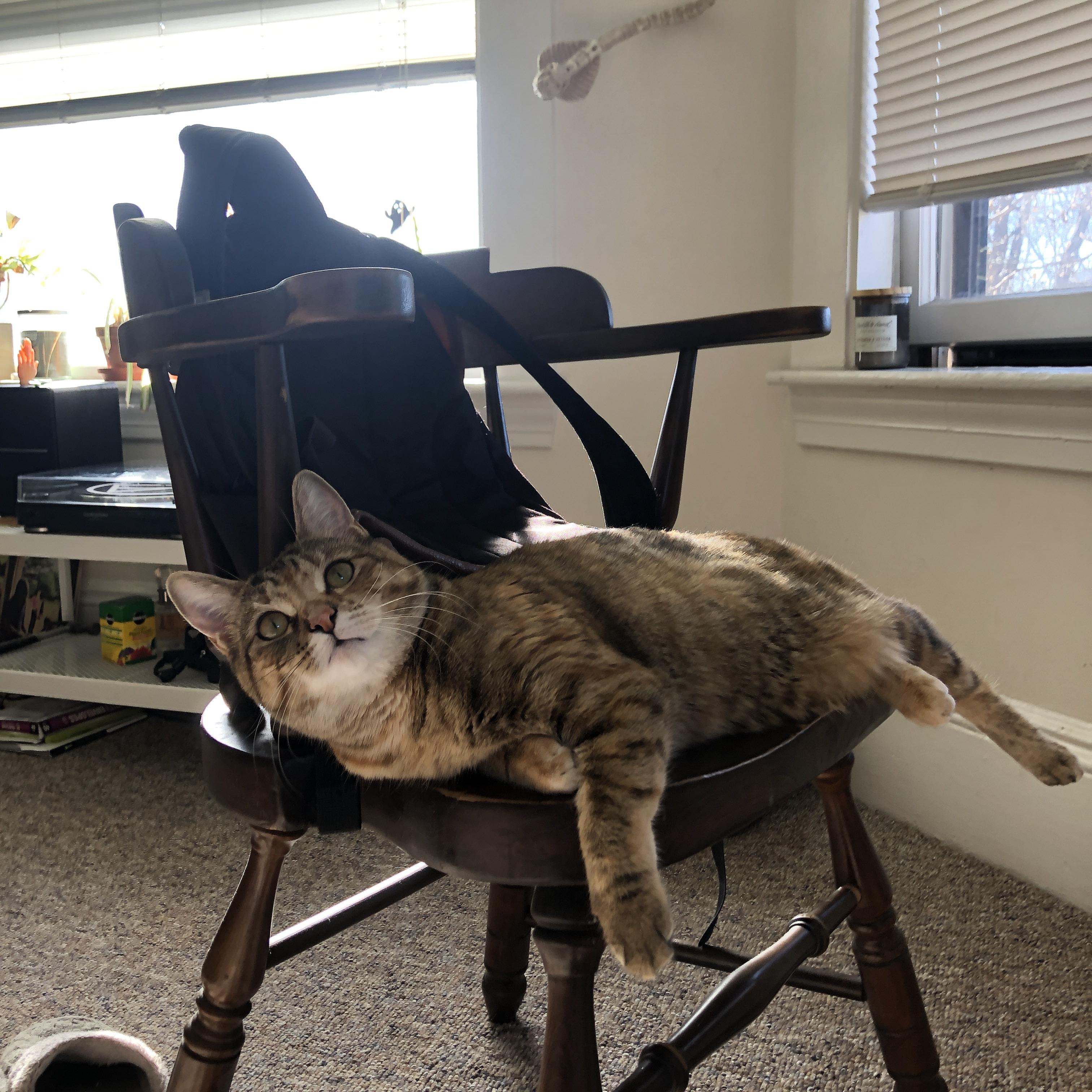 湖人力克森林狼,浓眉贡献22+17统治内线,湖人力克太阳2-1领先