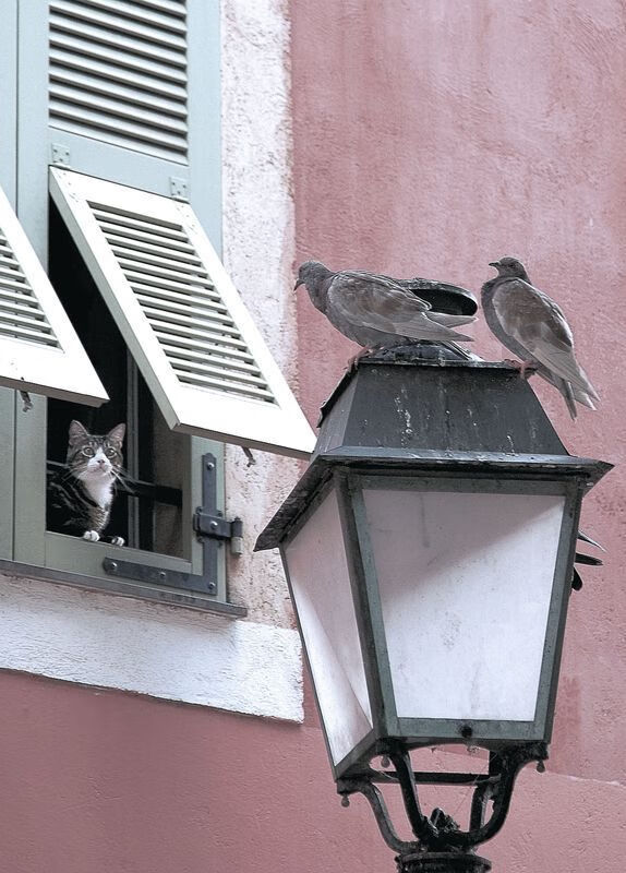 九游app下载中心-腾讯电竞赛事体系加强数据分析应用，腾讯电竞报告