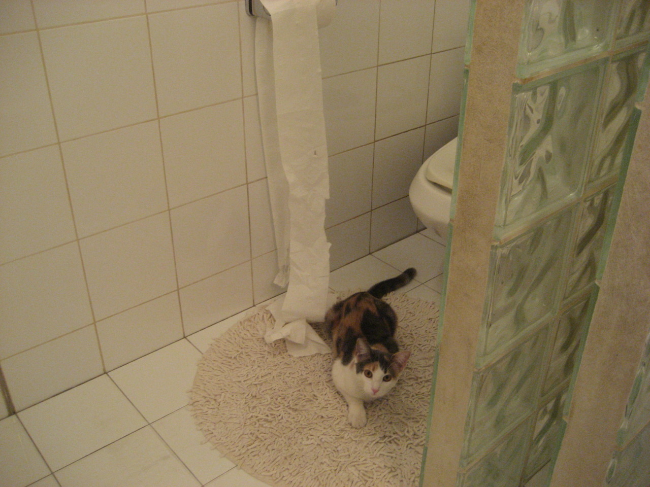 中国篮球青少年篮球普及与校园篮球发展策略,《中国青少年篮球训练教学大纲》