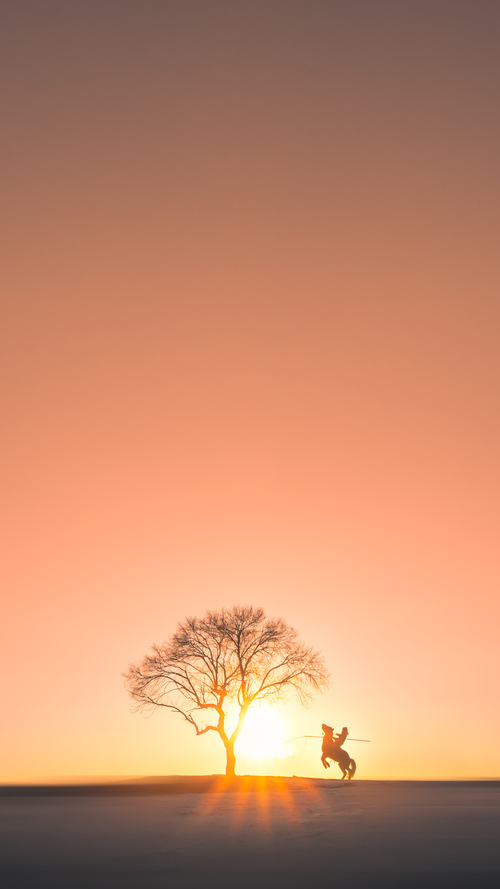 运动装备生产流程优化,运动装备创新