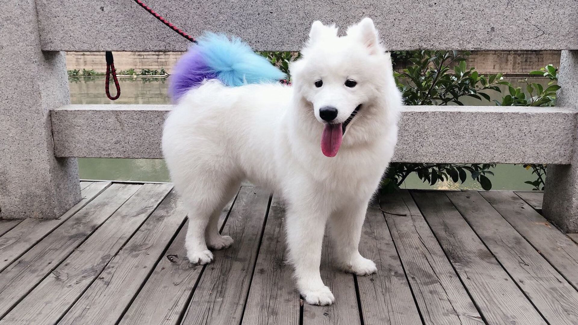 JIU YOU GAME-体育新闻中心构建赛事转播辅助AI字幕系统，体育转播用语