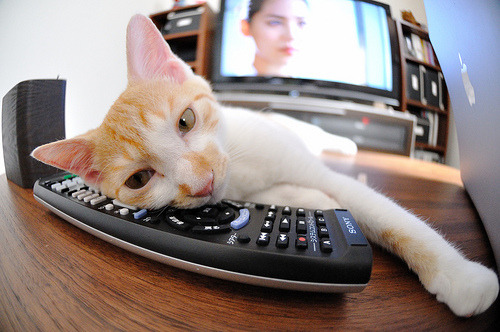 九游网-英雄联盟冠军皮肤设计曝光粉丝期待值拉满，英雄联盟所有冠军系列皮肤