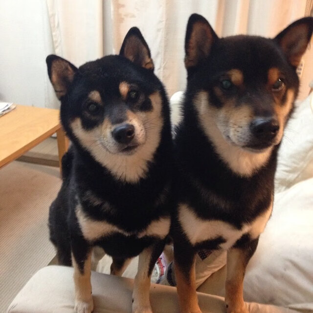 九游网页版官网-利物浦欧冠之路逐步展开，目标冠军