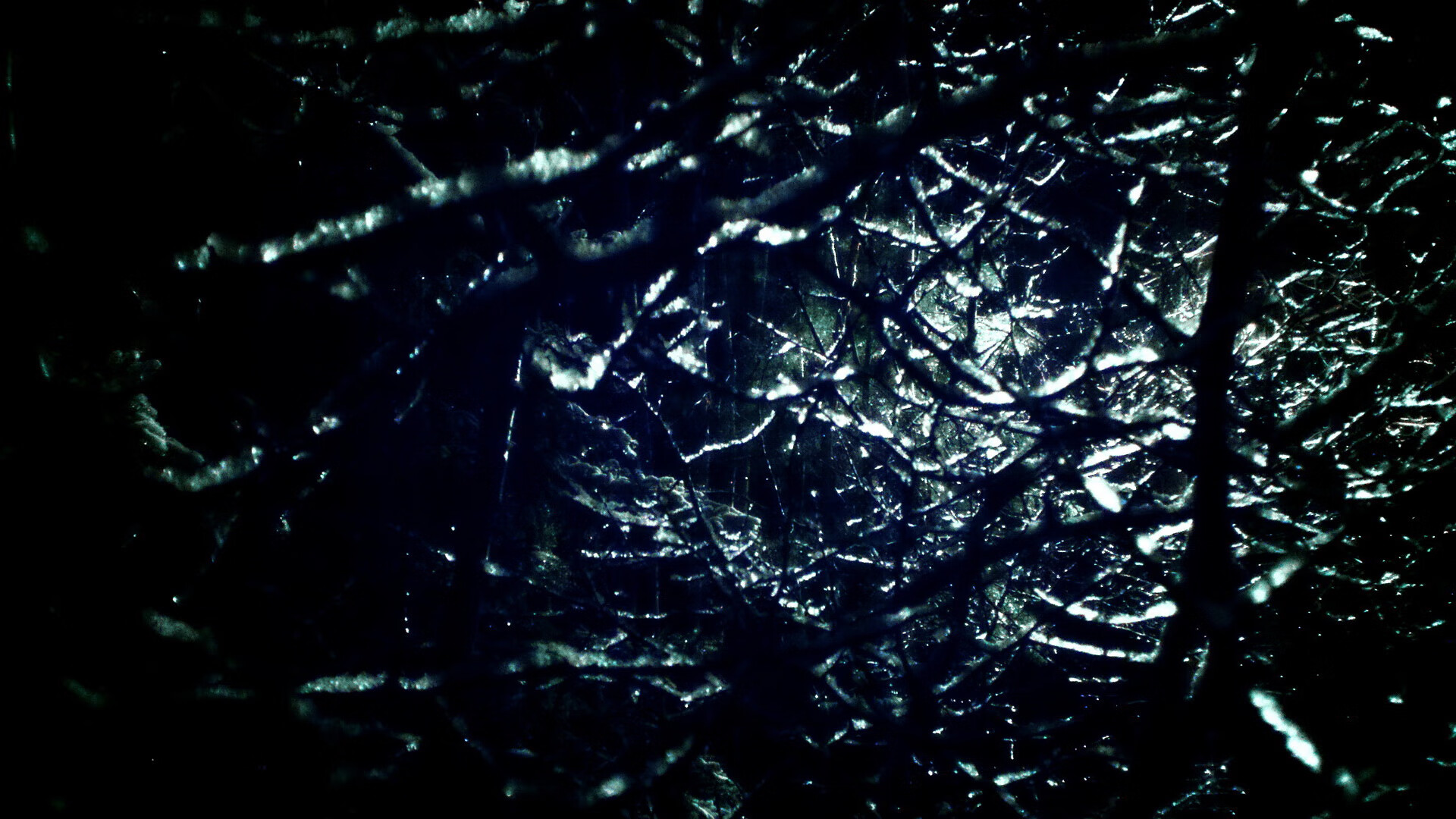 大卫·波波维奇男子100米自由泳表现抢眼,游泳 波波维奇