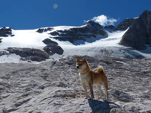 美洲杯明星大放异彩：个人秀场竞技巅峰，美洲杯新人