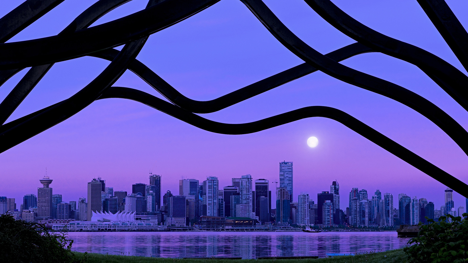 自由泳长距离比利时耐力出众,自由泳比赛距离