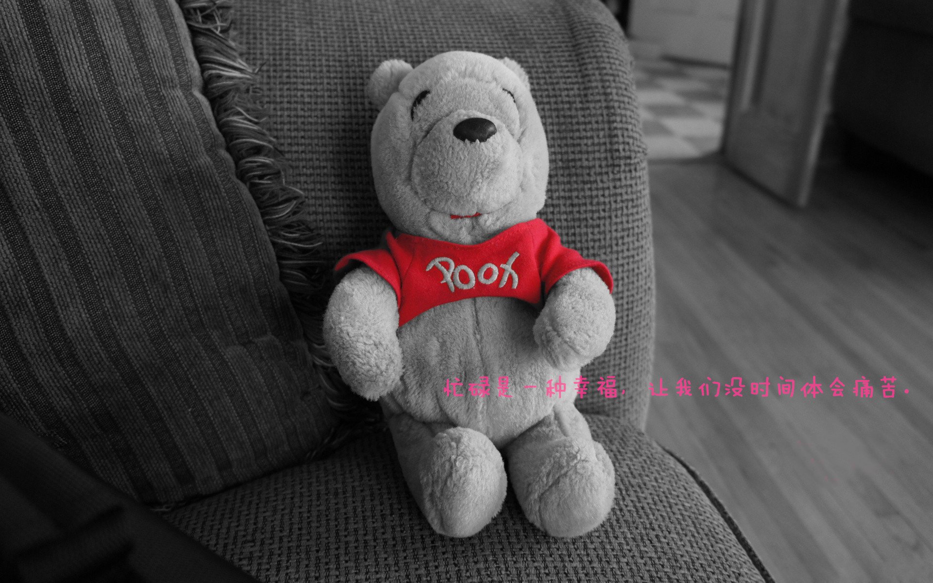 自由泳长距离比利时耐力出众,自由泳比赛距离